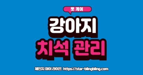 강아지 치석 제거 위험성과 집에서 치석 쌓이는 것 막는 3단계 루틴