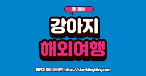 강아지 동반 해외여행 준비물, 검역 절차, 비용 가이드