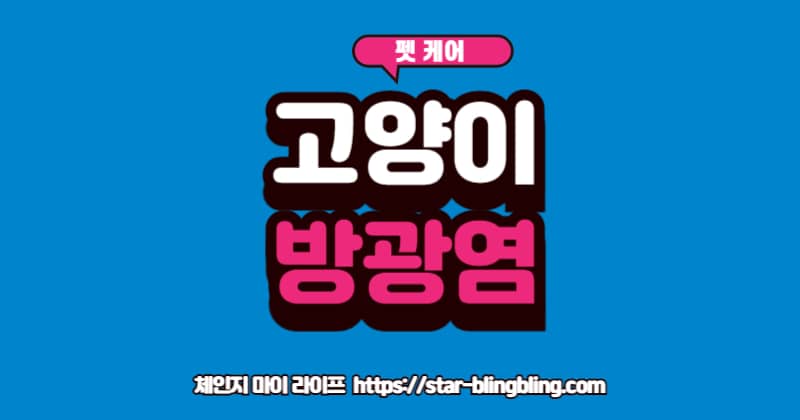 고양이 방광염 증상으로 아파하는 고양이