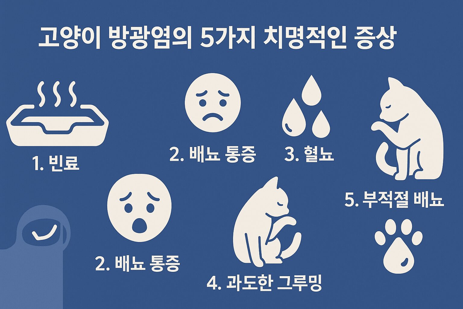 고양이 방광염 증상 5가지 치명적인 신호 요약 인포그래픽