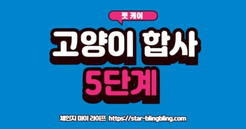 고양이 합사, 방묘문 사이로 탐색하는 두 고양이