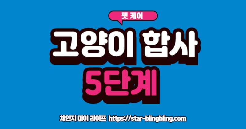 고양이 합사, 방묘문 사이로 탐색하는 두 고양이