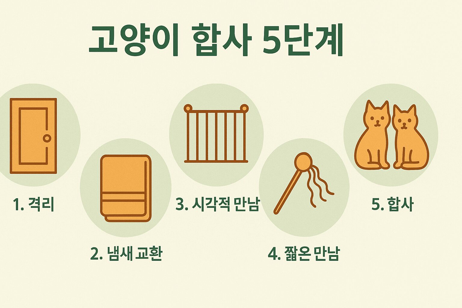 고양이 합사 5단계(격리, 냄새교환, 시각적 만남, 짧은 만남, 합사)를 보여주는 순서도 인포그래픽