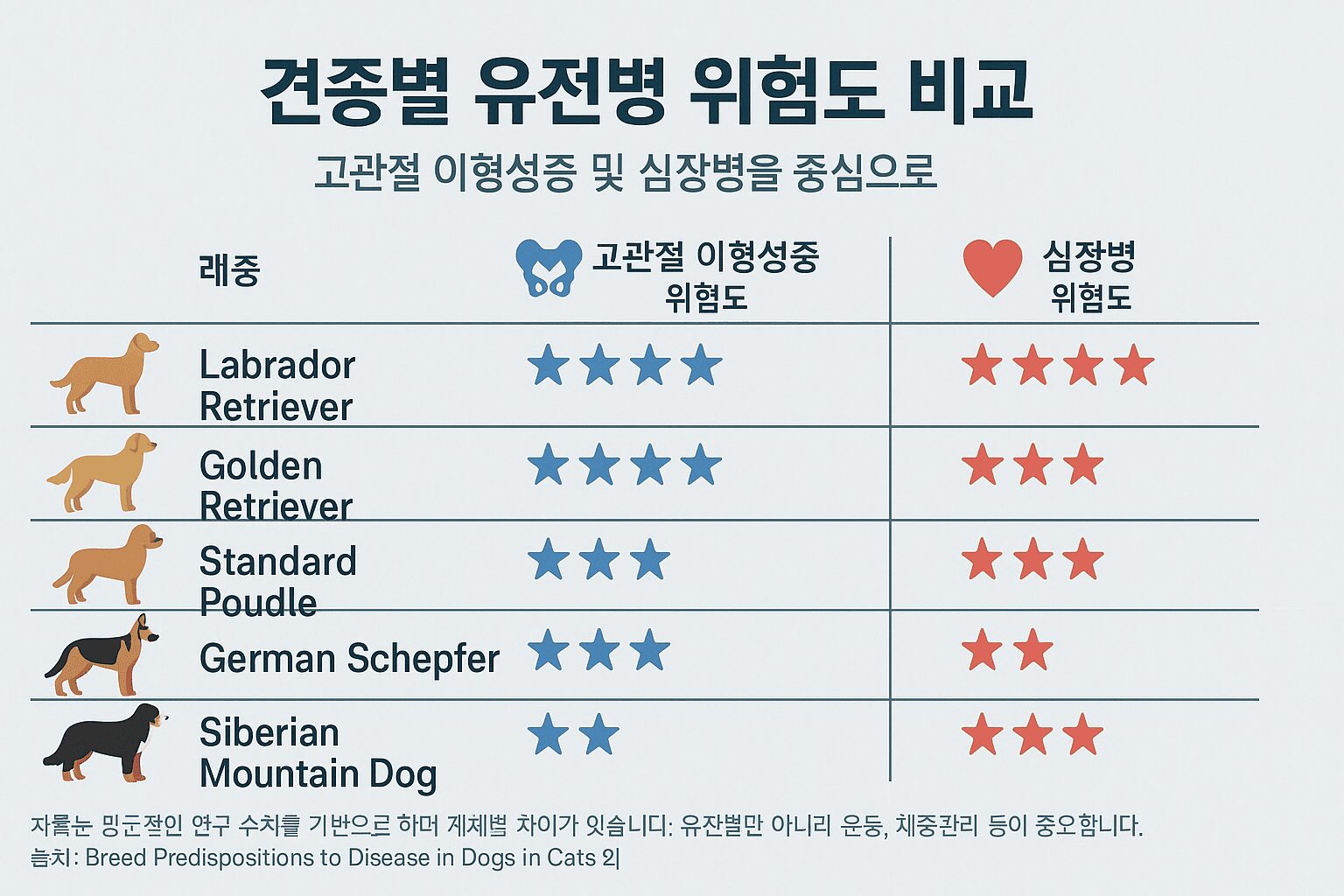 대형견 추천 견종별 주요 유전병(고관절 이형성증, 심장병) 위험도 비교 인포그래픽