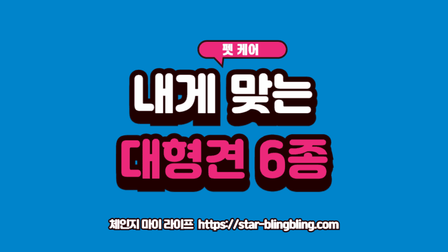 대형견 추천 6종의 성격, 운동량, 병력 위험도를 비교하는 이미지