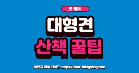 대형견 끄는 버릇 고치는 법