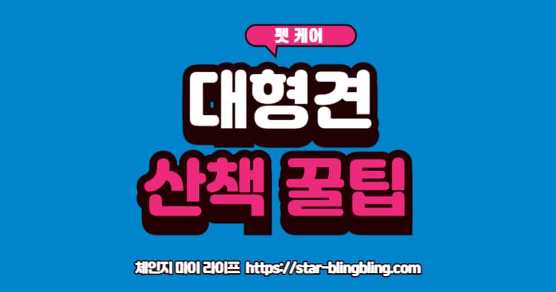 대형견 끄는 버릇 고치는 법