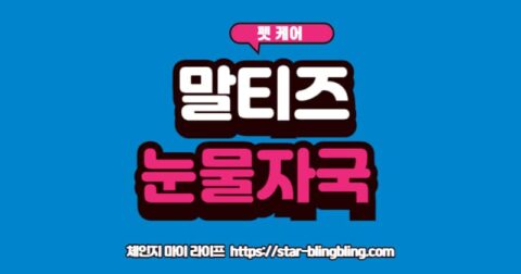 말티즈 눈물 자국 1년 관리 후기