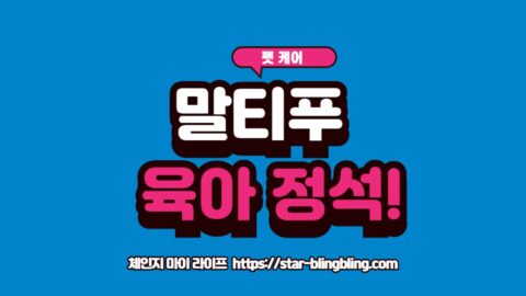 말티푸 강아지가 웃고 있는 모습과 소형견 키우기 가이드라인 이미지