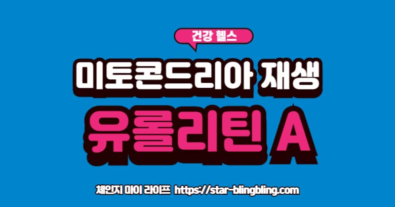 2026년 항산화 트렌드 유롤리틴 A의 미토콘드리아 재생 효과