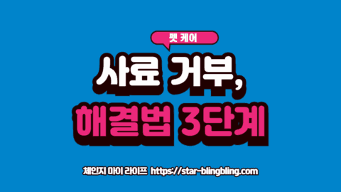 사료 안 먹는 강아지의 식욕 부진 원인을 분석하는 이미지