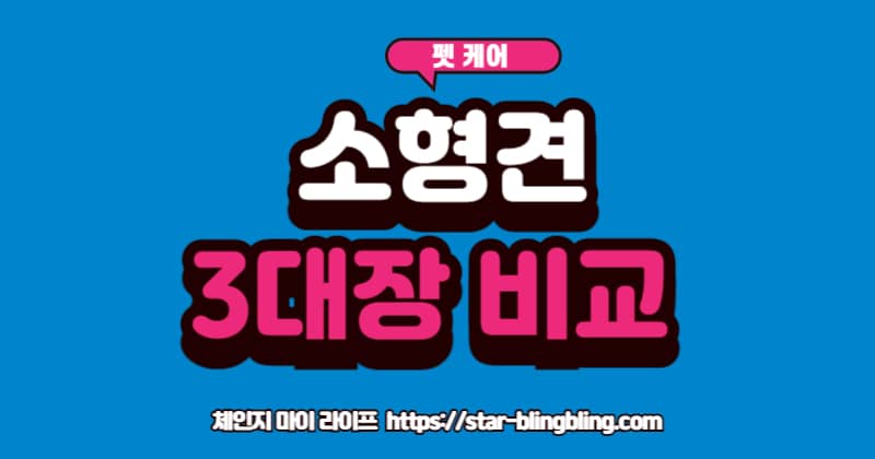 소형견 종류 3대장 푸들, 말티즈, 비숑