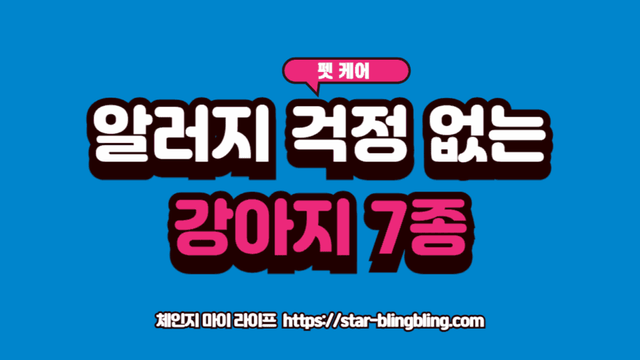 알레르기 있는 사람이 키우기 좋은 저알러지 견종 7가지