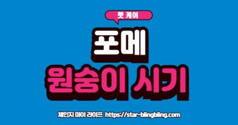 포메라니안 원숭이 시기 털 관리법