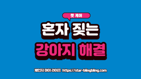 혼자 있을 때 짖는 강아지의 행동 원인과 해결법을 보여주는 이미지