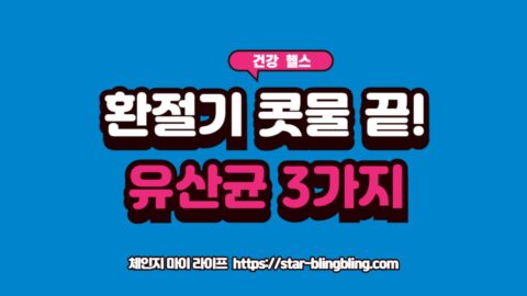 환절기 비염 완화 유산균 3가지