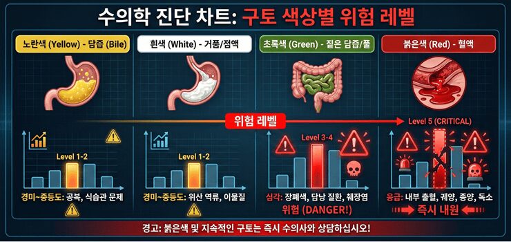 강아지 구토 색깔별 위험 신호와 응급 상황을 나타내는 의료 시각화 이미지