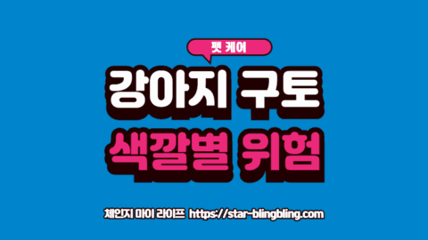 강아지 구토 색깔별 위험 신호와 응급 상황을 나타내는 의료 시각화 이미지