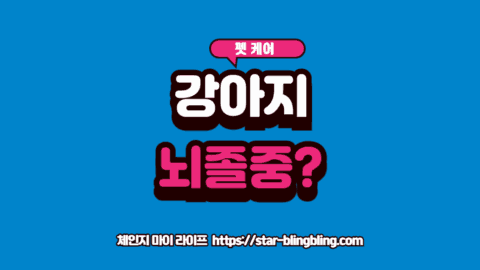 강아지 갑자기 방향감각 상실 증상을 보이며 비틀거리는 전정기관 증후군 강아지의 시선 시각화