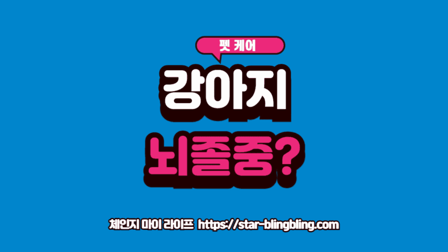 강아지 갑자기 방향감각 상실 증상을 보이며 비틀거리는 전정기관 증후군 강아지의 시선 시각화