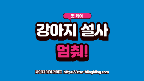 강아지 설사 멈추는 법과 관련된 하루 회복 루틴 및 위험 신호를 나타내는 의료 다이어그램