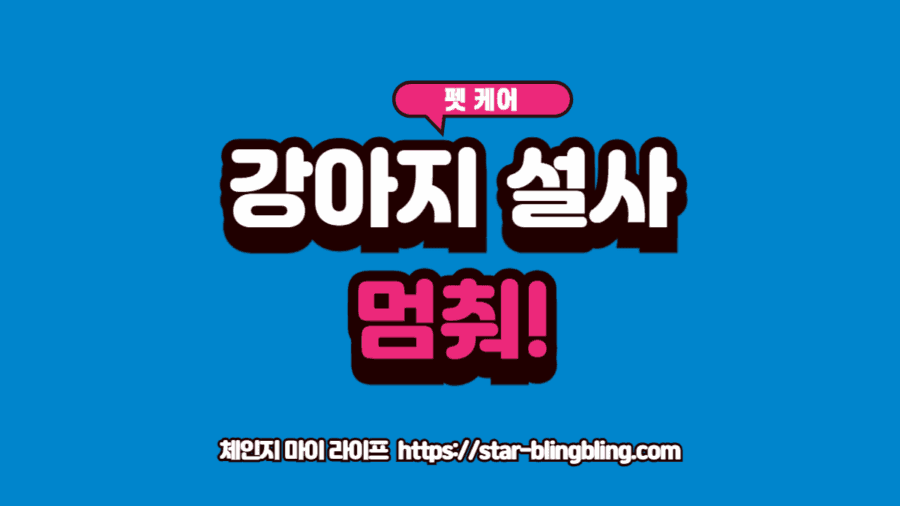 강아지 설사 멈추는 법과 관련된 하루 회복 루틴 및 위험 신호를 나타내는 의료 다이어그램