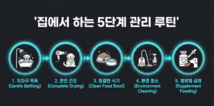 강아지 피부염 관리 5단계 루틴과 목욕, 환경, 식이 관리 아이콘 인포그래픽