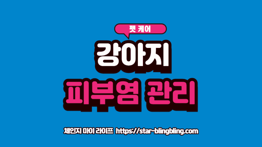 강아지 피부염 관리의 5단계 루틴과 알레르기, 세균성, 곰팡이성 원인균 시각화