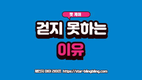 강아지 디스크 증상으로 허리 통증을 호소하며 등을 구부리고 있는 모습