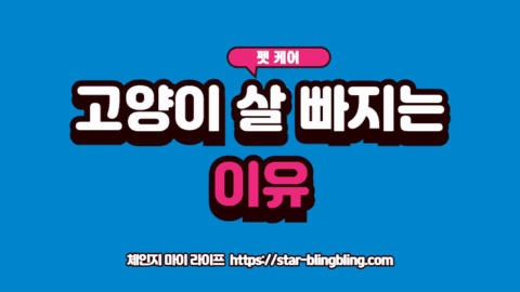 고양이 체중 급감의 7가지 위험 요소를 나타내는 의료 시각화 이미지