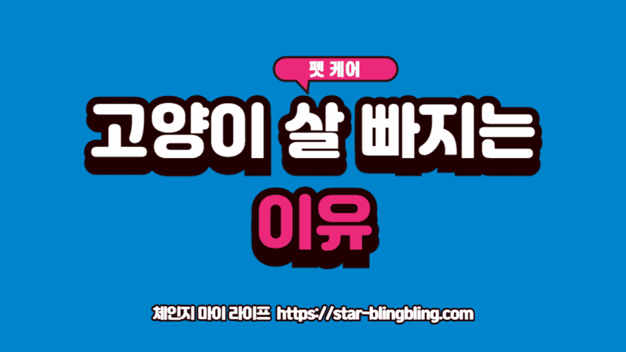 고양이 체중 급감의 7가지 위험 요소를 나타내는 의료 시각화 이미지