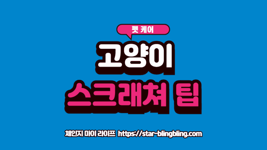 고양이 스크래쳐 3가지 유형(수직, 수평, 경사)과 고양이가 긁는 모습을 시각화한 이미지