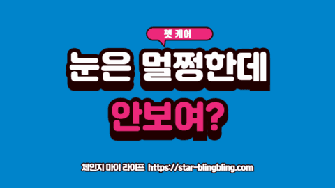 강아지 시력 저하 초기 신호를 보이며 계단 앞에서 주저하는 불안한 표정의 강아지 이미지