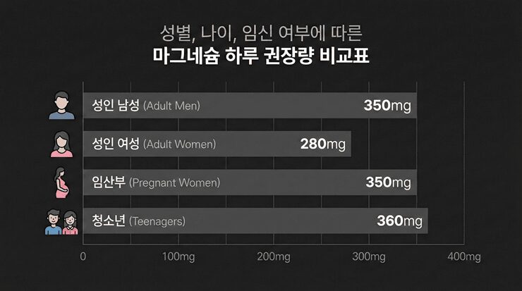 식품으로 섭취하는 마그네슘과 영양제로 섭취하는 마그네슘의 차이를 설명하는 인포그래픽