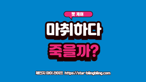 강아지 마취 위험도를 최소화하기 위해 수술실에서 안전하게 호흡 마취를 진행하는 모습