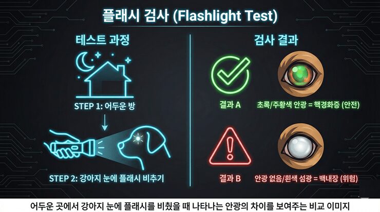 어두운 곳에서 강아지 눈에 플래시를 비췄을 때 나타나는 안광의 차이를 보여주는 비교 이미지