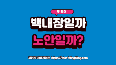 강아지 눈이 하얗게 변했을 때 백내장과 핵경화증을 구별하는 비교 이미지