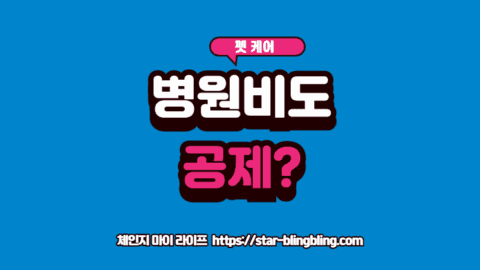 반려견 연말정산 소득공제 가능 여부를 확인하며 계산기를 두드리는 강아지 모습