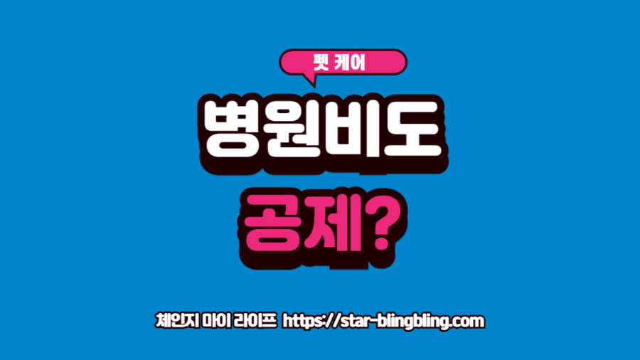 반려견 연말정산 소득공제 가능 여부를 확인하며 계산기를 두드리는 강아지 모습