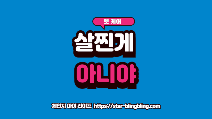 슬픈 표정으로 엎드려 있는 비만 강아지와 털이 빠진 꼬리를 보여주는 갑상선 기능저하증 증상 이미지