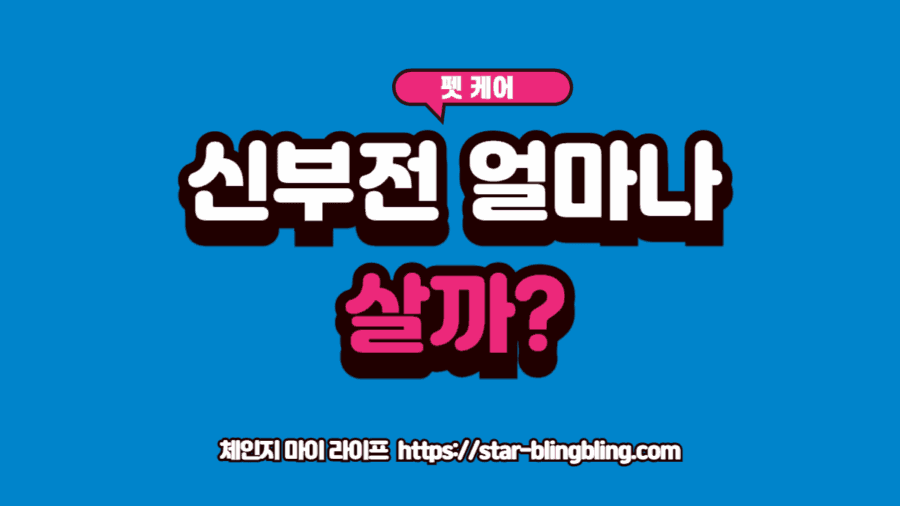 강아지 신부전 진단을 받고 수액 치료를 받으며 회복을 기다리는 강아지의 모습