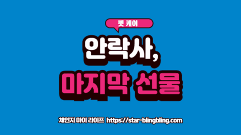 강아지 신부전 안락사