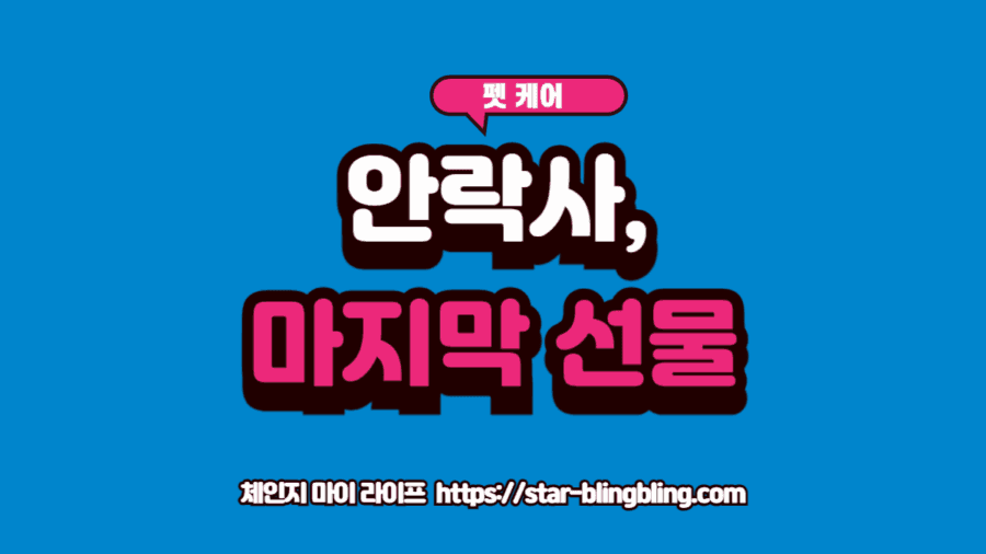 강아지 신부전 안락사