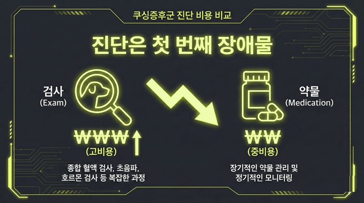 강아지 쿠싱증후군 증상을 진단하기 위한 검사 과정과 비용 구조를 설명하는 인포그래픽