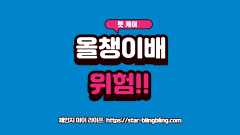 강아지 쿠싱증후군 증상의 대표적인 특징인 올챙이배와 얇아진 피부를 보여주는 이미지