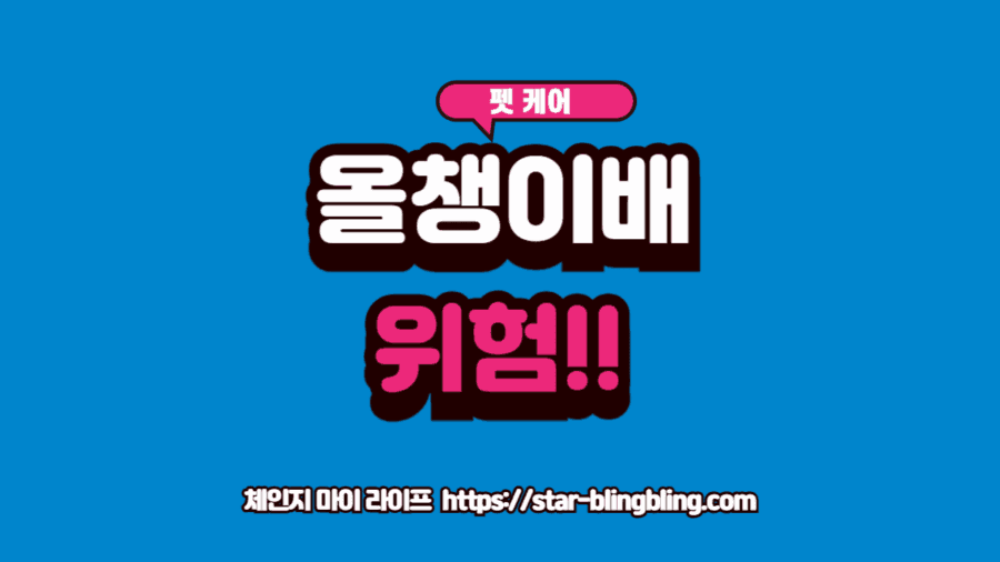 강아지 쿠싱증후군 증상의 대표적인 특징인 올챙이배와 얇아진 피부를 보여주는 이미지