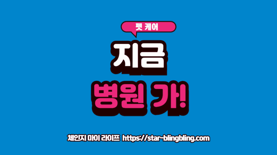 강아지 아플 때 증상을 보이며 기운 없이 웅크리고 있는 모습과 걱정하는 보호자