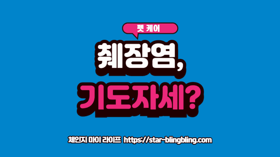 강아지 췌장염 증상 중 하나인 기도하는 자세를 취하며 고통스러워하는 모습