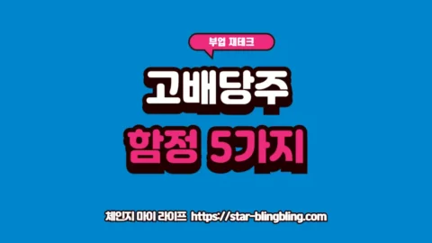 고배당 주식 위험 신호를 분석하며 배당률 함정을 피하는 투자자