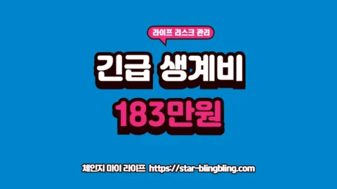 긴급복지 생계지원 신청 기준 확인 후 정부의 신속한 승인을 상징하는 전문적인 사무실 배경 이미지"